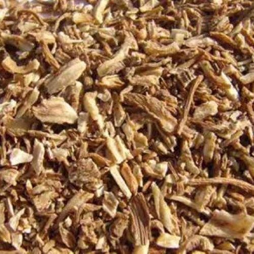 Angelica sinensis wortel | Tang Kuei of Dang Gui